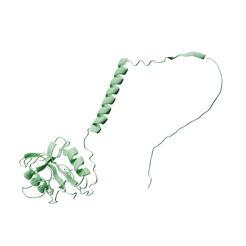 Human CD69 (N-8His, HEK293)